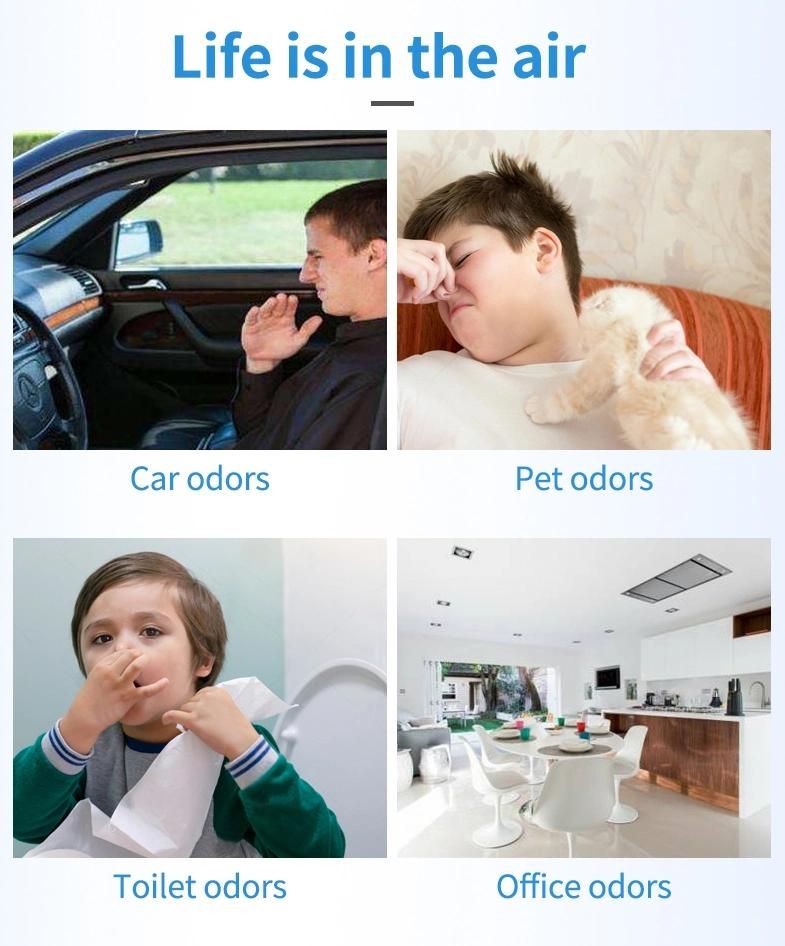 Free Sample Air Freshener for Home
