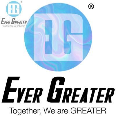Custom Make Label Holographic Sticker Security Adhesive Hologram Sticker