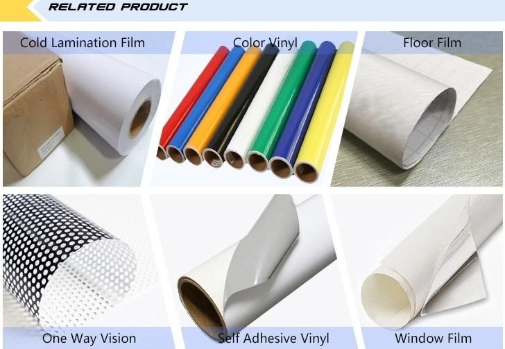 Advertising Material /Self Adhesive Vinyl with Digital Printing