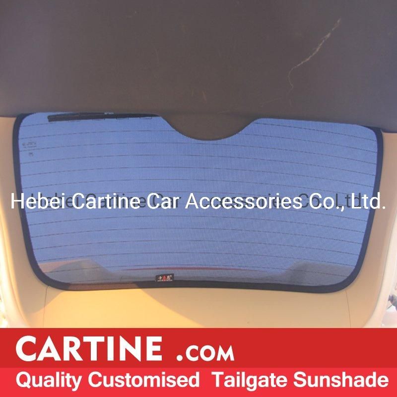 Custom Made Car Curtain