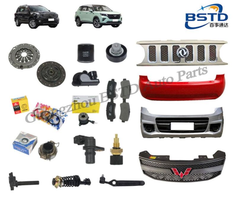 Best Selling Car Spare Parts Rear License Plate Cover for Dongfeng Glory 330 (5506100-FA01-N17J)