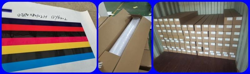 UV Printing PVC Self Adhesive Vinyl Factory Wholesale
