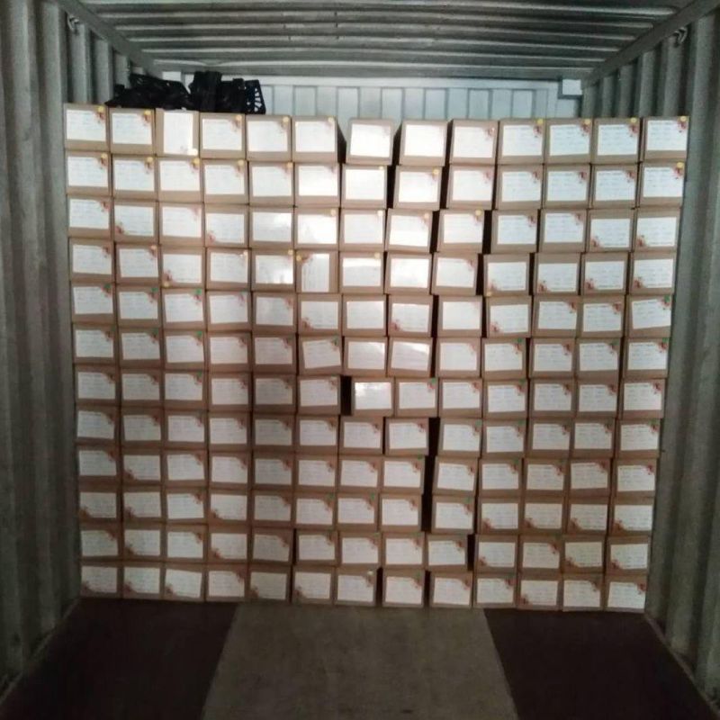 Hot Selling Carbon Fiber for Car Decoration