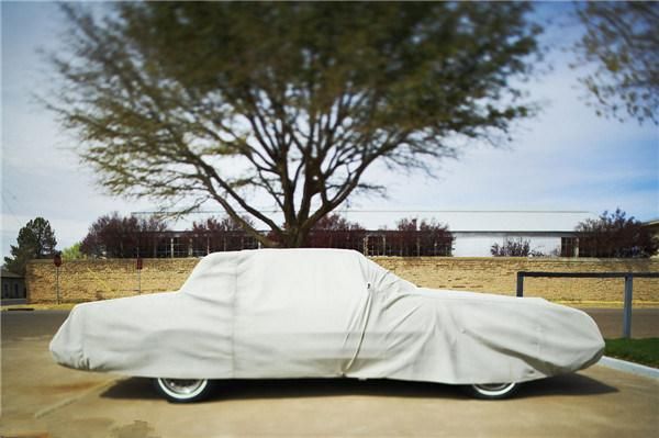 Custom Polyester Car Hood Cover