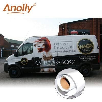 Anolly Derek Vinyl for Advertisement