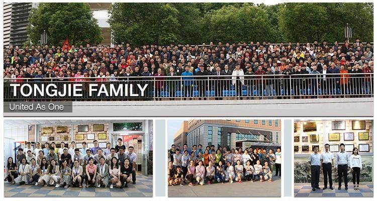 Factory Price Waterproof Custom Designs Cartoon Stickers