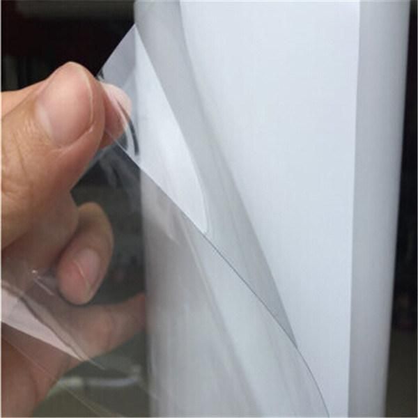 Korea Quality Best Price Coating Tph Ppf Film for Car Paint Protection Film with Size in 1.52*15m Roll