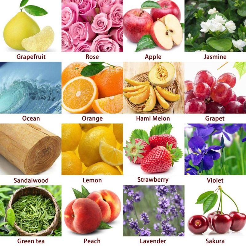 Customized Best Selling Scent Natural Hanging Car Paper Air Freshener