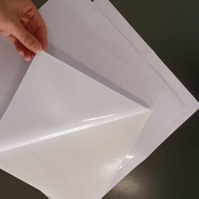 Hot Sale 100mic 140GSM PVC Self Adhesive Vinyl for Cutting Plotter with Low Price