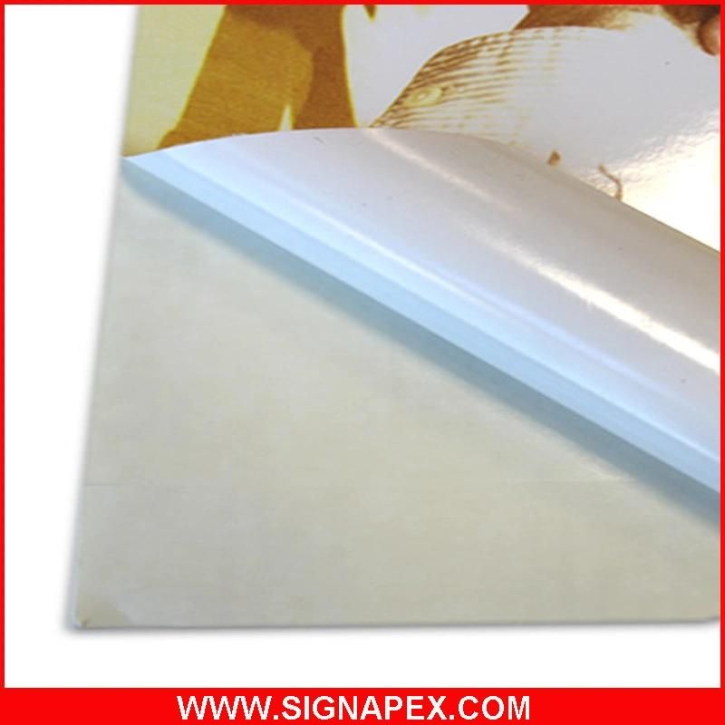 Self Adhesive Vinyl Print Roll