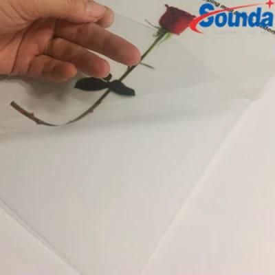 Outdoor Transparent PVC Film 80mic 120GSM Self Adhesive Vinyl Inkjet Printing Roll Materials