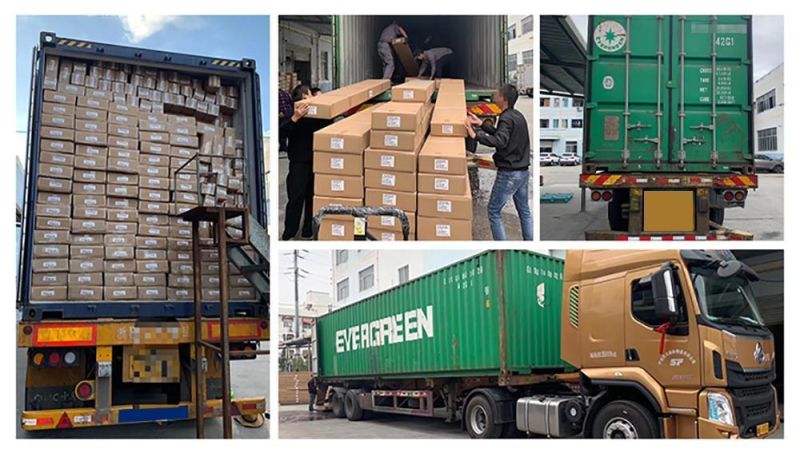 Rear Truck Box Cargo Luggege Box for Odyssey/Elysion